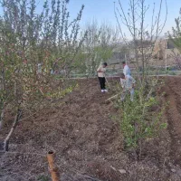 زمین تجاری شهرک غرب