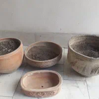 گلدان سفالی|گل و گیاه طبیعی|تهران, منیریه|دیوار