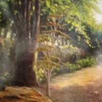 نظافت منزل محل کار باغ شهری