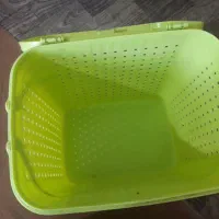 سبد