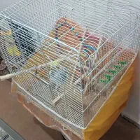 دوتا قفس دونه 200|لوازم جانبی حیوانات|تربت‌حیدریه, داروپخش|دیوار