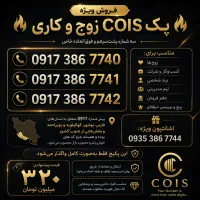فروش پکیج سه‌قلوی شماره‌های خاص 0917