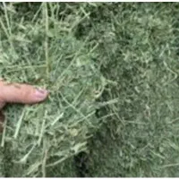 حدود ۷۰۰ کیلو یونجه و ۷۰۰ کیلو کاه