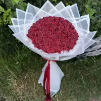 باکس|گل و گیاه طبیعی|ارومیه, |دیوار