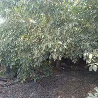 فروش منزل ویلایی خ طالقانی کوچه نه