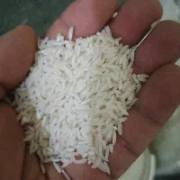 برنج طارم هاشمی