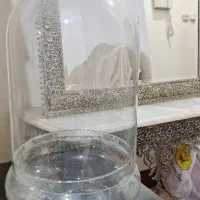 حباب شیشه ایی وپنج عدد گل رز یک استوانه شیشه‌ای