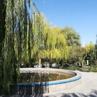 هونر ۸ لایت|موبایل|تبریز, |دیوار