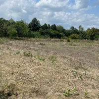 ۱۳۰۰۰ متر زمین ویژه سرمایهگذاری در گیلان|فروش دفتر صنعتی، کشاورزی، تجاری|شفت, |دیوار