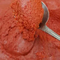 رب خانگی هیزم پز اعلاء