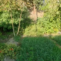 خانه-باغ-فروشی-در-روستا
