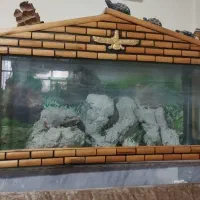 آکواریوم بزرگ