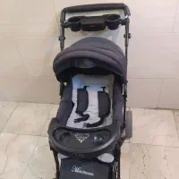 کالسکه دلیجان کم استفاده سالم