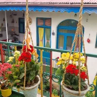 اجاره کوتاه مدت خونه ویلا|اجارهٔ کوتاه‌مدت ویلا و باغ|رشت, شهرک قدس|دیوار