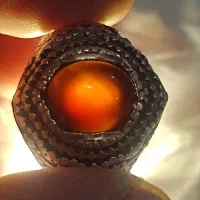 انگشتر شجر|جواهرات|اردبیل, |دیوار