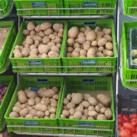 استند میوه و سبزی و... شیک