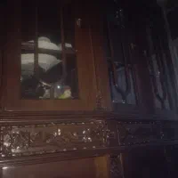 بوفه قدیمی بسیار جا دار