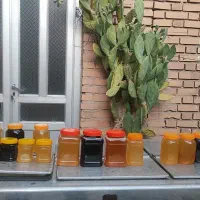 عسل طبیعی درمانی(دیابتی) امسالی