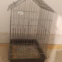 قفس،لونه،نردبان،ملزومات قفس پرنده|لوازم جانبی حیوانات|برخوار, |دیوار