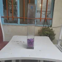 اکواریوم ستونی|ماهی|باغستان, |دیوار