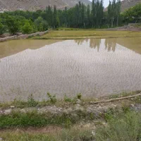 فروش-زمین
