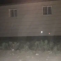 اوستا بنا|خدمات پیشه و مهارت|کرمان, |دیوار