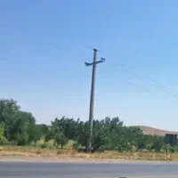 نیازمند-اجاره-گاوداری