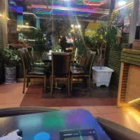 استخدام سالندار