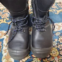 کفش ایمنی