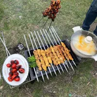 کباب پز زغالی باربیکیو کارینو مس اتحاد تنور گازی