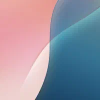 پیدا شده کارت ملی
