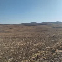 فروش2هکتار زمین کشاورزی بارانی|فروش دفتر صنعتی، کشاورزی، تجاری|محمدبار, |دیوار