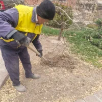 استخدام کارگر فضای سبز