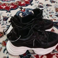 فروش کفش|کیف، کفش، کمربند|قائم‌شهر, |دیوار