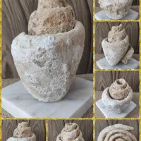 فسیل سنگواره