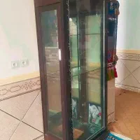 بوفه