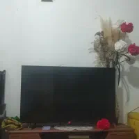 تلویزیون