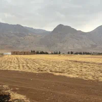 ۵۸۰۰ متر باغ کرمانشاه|فروش زمین و ملک کلنگی|کرمانشاه, |دیوار