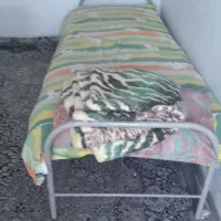 فرش و گلیم فرش|فرش|قم, انسجام|دیوار