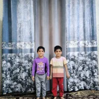 پرده های پانچ قیمت مناسب تحویل ۳ روزه