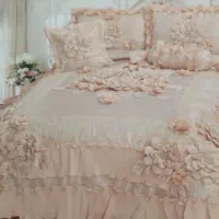 روتختی مجلسی