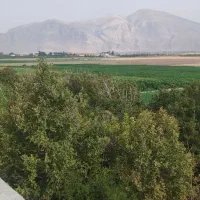 فروش زمین باغی