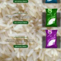 طراحی سایت و سئو و تولید محتوا سایت|خدمات رایانه‌ای و موبایل|تهران, ارم|دیوار