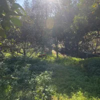 زمین-داخل-بافت-مسکونی-248