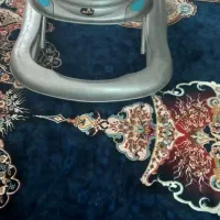 کالسکه و رورک|کالسکه و لوازم جانبی|محمدشهر, زیبادشت|دیوار