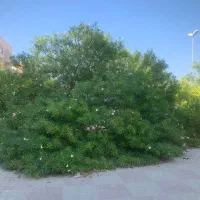 زمین کشاورزی نزدیک بافت مناسب سرمایه گذاری