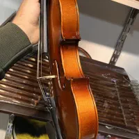 ویولن|ویولن|برازجان, |دیوار