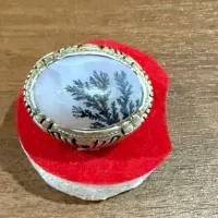 انگشتر شجر