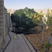 تور ضد پرنده  استاندارد با گارانتی دوام بالا