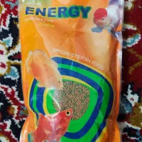 غذای ماهی قرمز